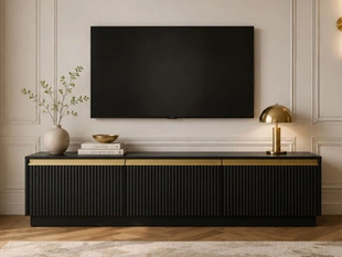TV-Meubel met Deuren Roland Zwart